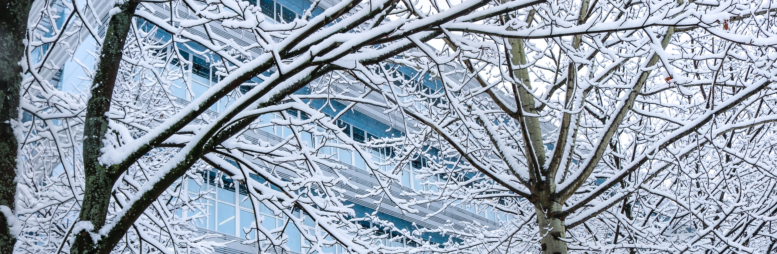 Зимний ОЦНН