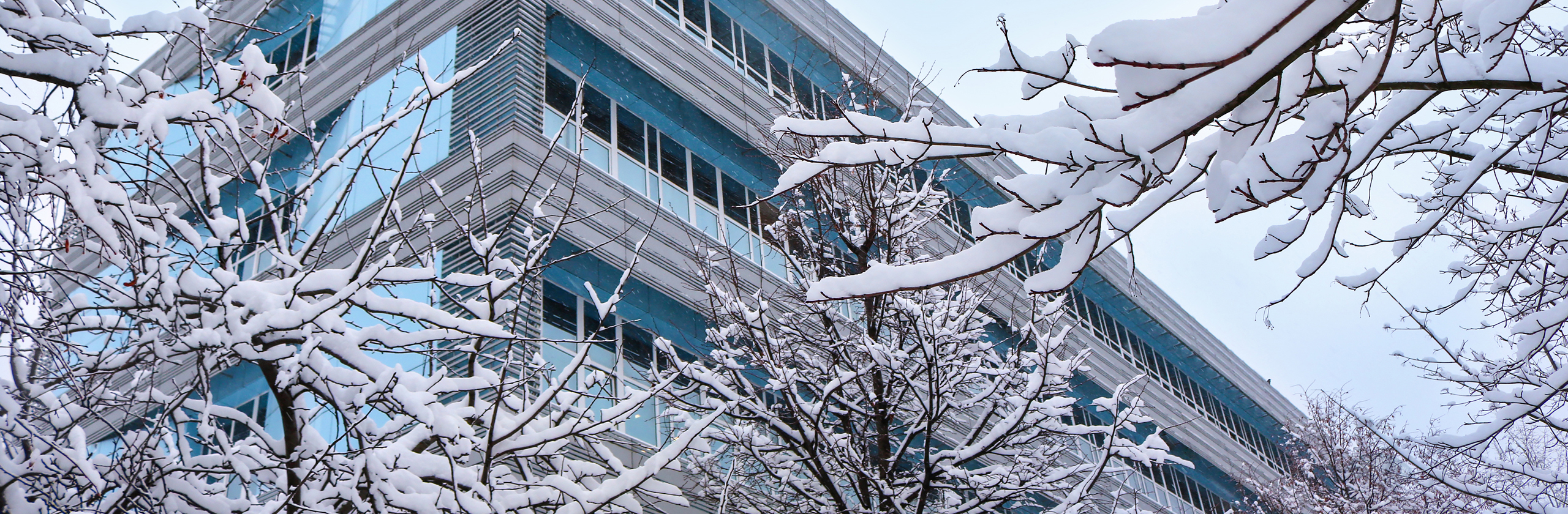 Зимний ОЦНН