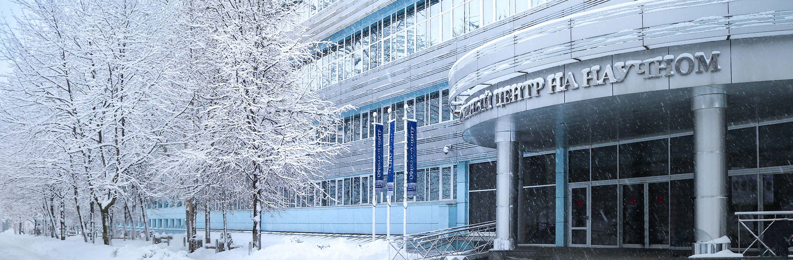 Зимний ОЦНН