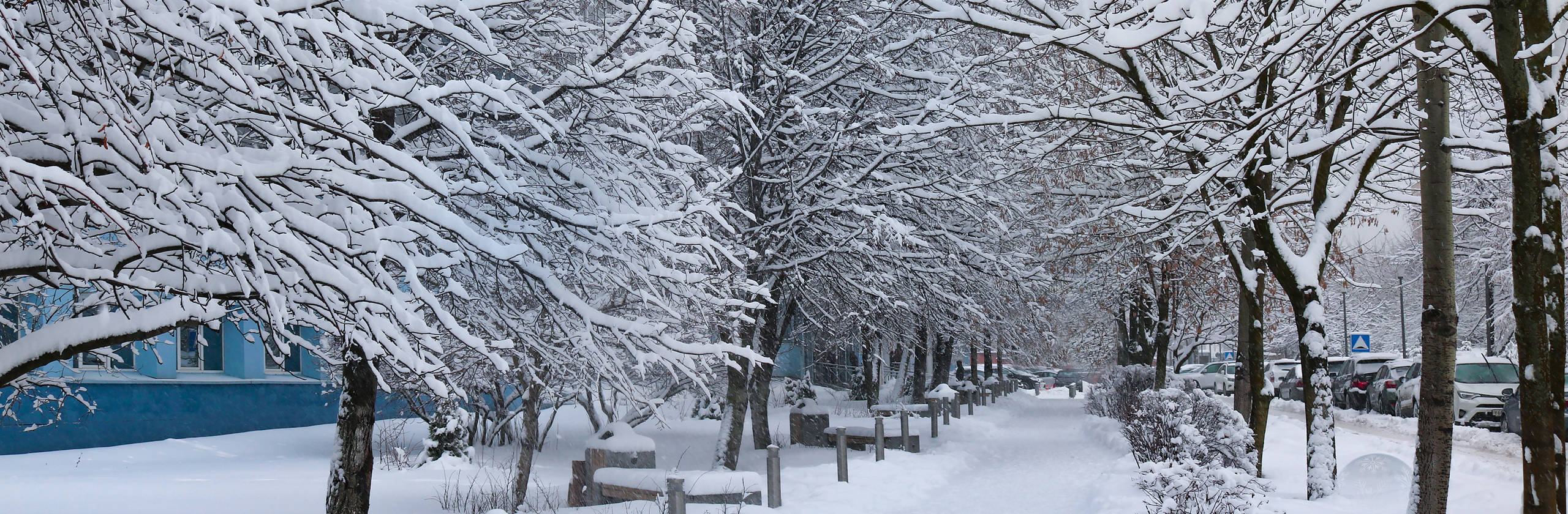 Зимний ОЦНН