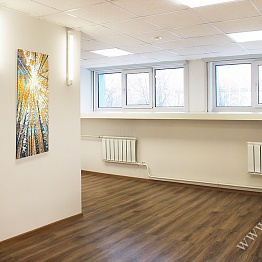Офисное помещение 27,0 кв.м в Офисном центре На Научном