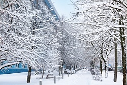 Фотогалерея Офисного центра НА НАУЧНОМ